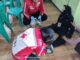 PMI Kabupaten Jombang Berikan Layanan Kesehatan pada Kegiatan Pencak Silat Nur Harias