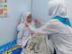 Anggota PMR SMP Budi Utomo Gadingmangu Berikan Pertolongan Pertama kepada Siswi yang Mengalami Sesak Napas